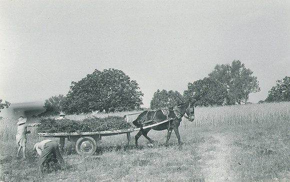 Explorar0105