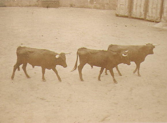 1930 Es bous