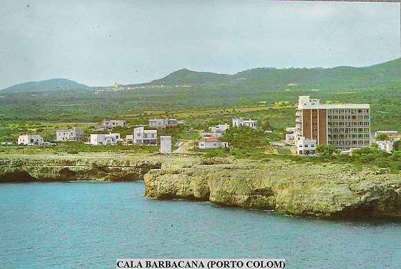 P0100