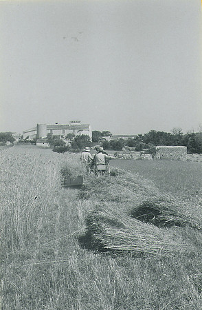 Explorar0106