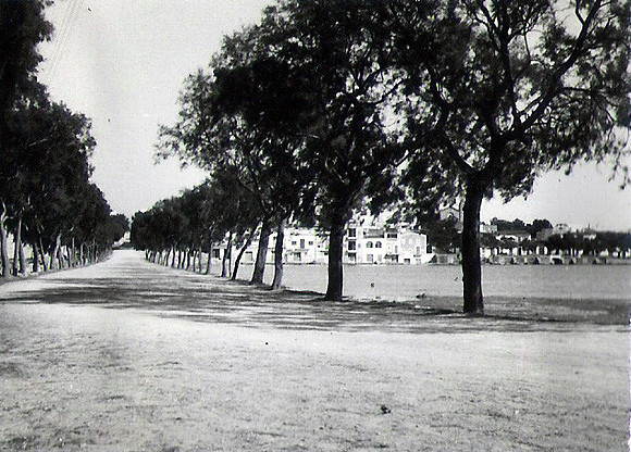 Paseig des Tamarells b