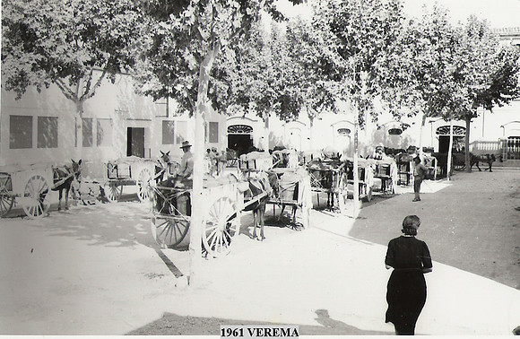 1961a Verema