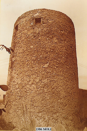 1986p Moli