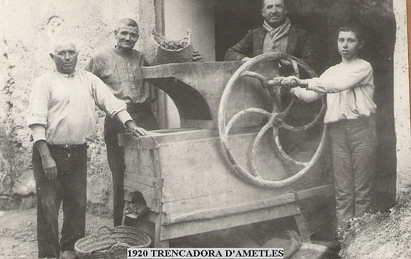 1930 Trencadora d'Ametles