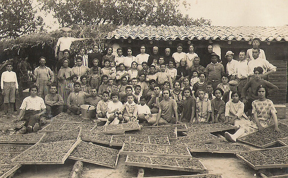 1922 Seuers d'Albarcocs