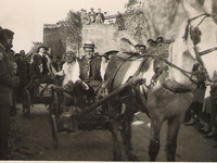 FELANITX MEDIS DE LOCOMOSIO