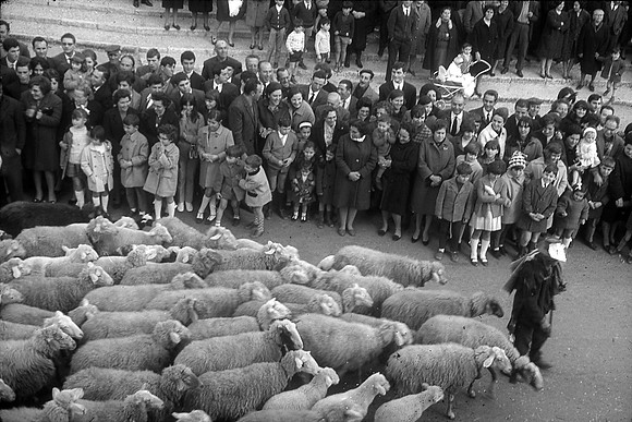 Sant Antoni-19