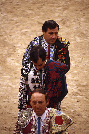 Toros6