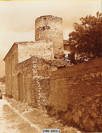 1986o Moli