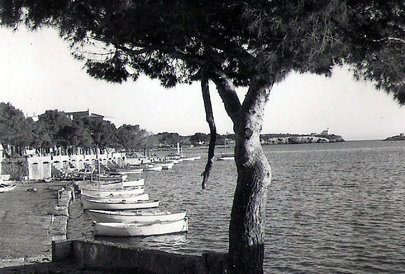 1960 Es pi de Can rectora