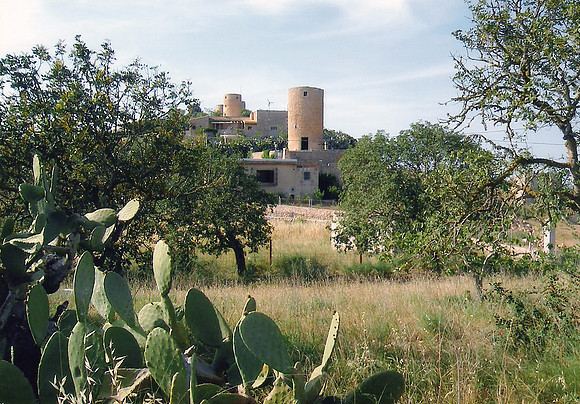 AIA 0008