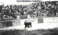 TOROS N