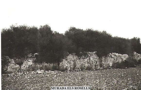 0015 Murada es Rosells