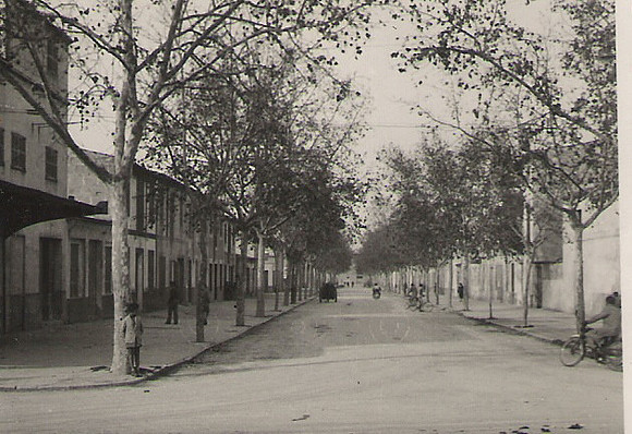 1929 Arnest Mestre