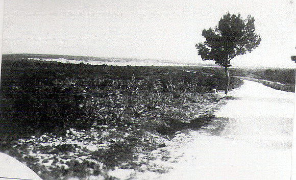 1930 Carretera Des Port