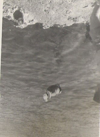 057 1960 E C Sanau
