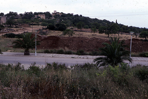 C- Manacor-3