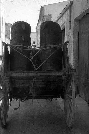 Portadores