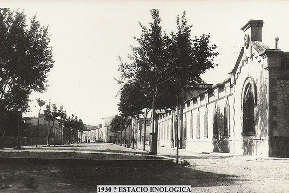 1930 Estacio Enologica