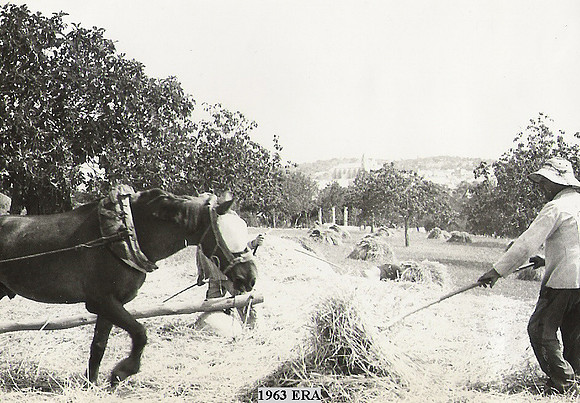 1963 Era
