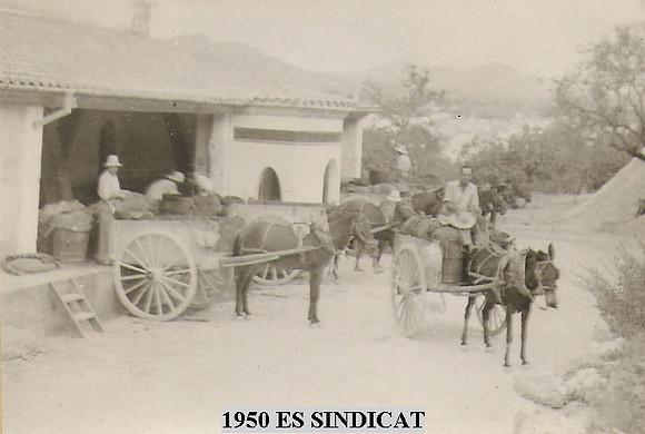1950 Es S'Indicat