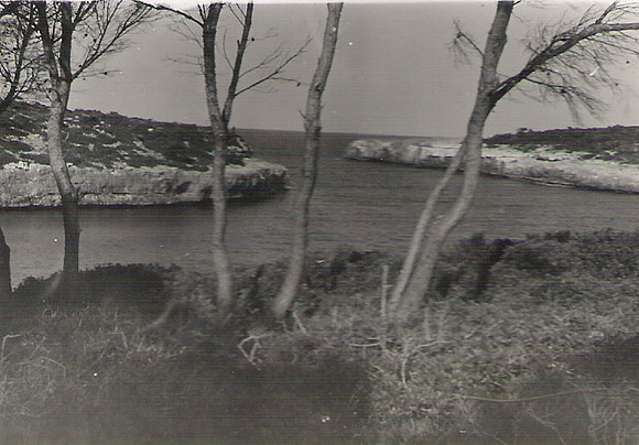 040 1960 E C Sanau
