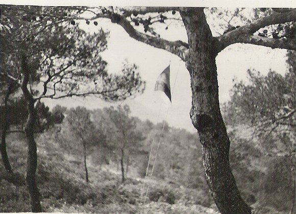 018 1960 Sa bandera a S Salvador