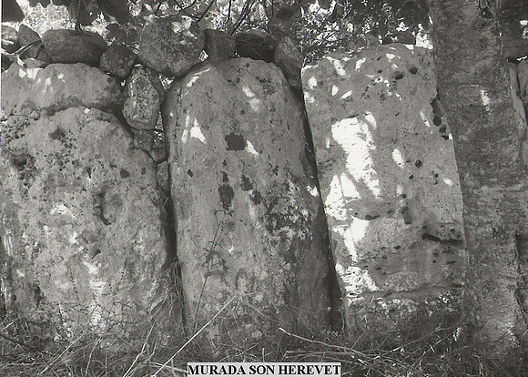 0008 Muirada de Son Herevet