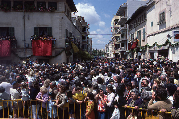 Arribada-4