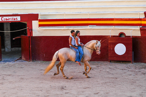 DSC_9818