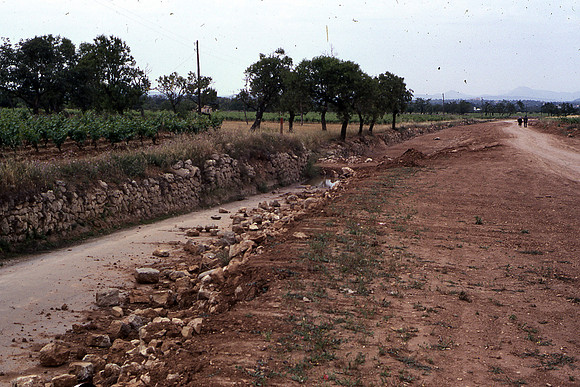 C- Manacor